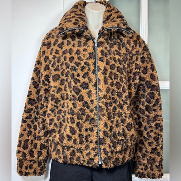 BB Dakota Jackets & Blazers - BB DAKOTA Teddy Jacket